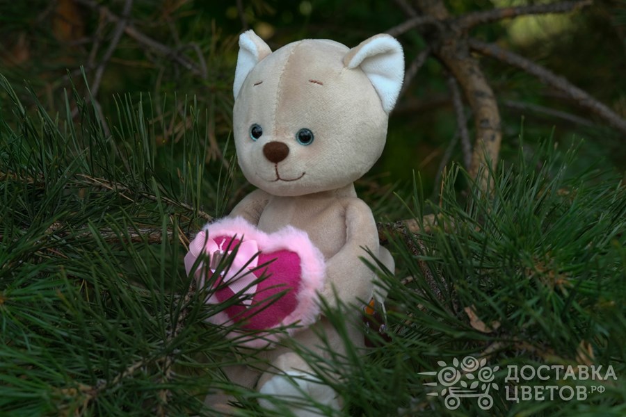 Мягкая игрушка Романтичный Котик с розовым сердечком
